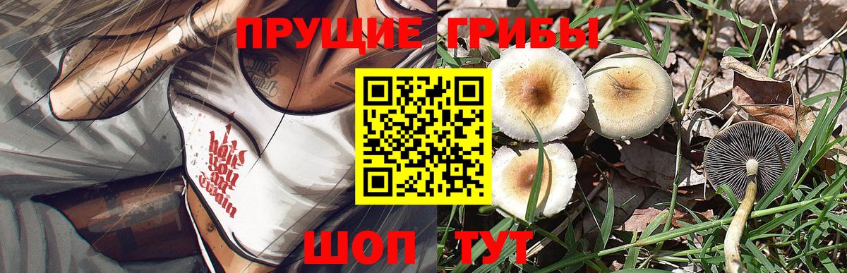 Дубна  Галлюциногенные грибы ЛСД  Вход с VPN  Псилоцибиновые грибы мухоморы 